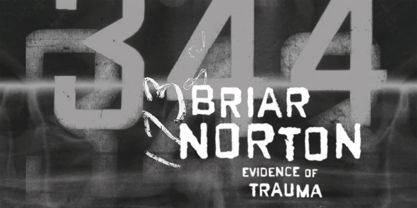 Gonzalez Font Poster 6