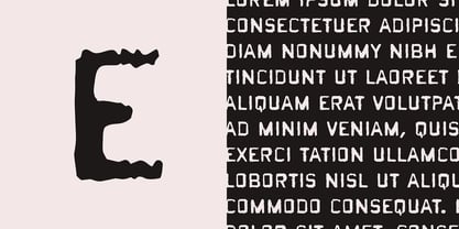 Gonzalez Font Poster 4