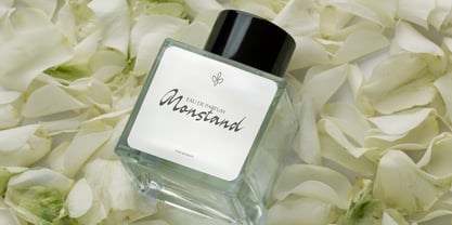 Carthely Edition Font Poster 8