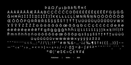 Morviz Font Poster 13