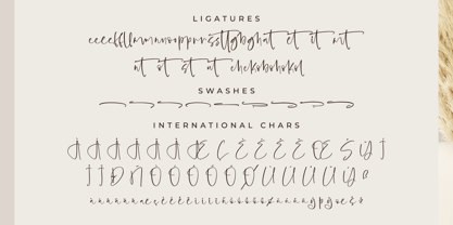 Sagetsock Font Poster 8