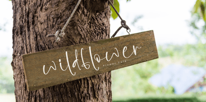 Sagetsock Font Poster 3