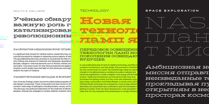 Halogen Slab Pro Cyrillic Font Poster 3