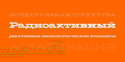 Halogen Slab Pro Cyrillic Font Poster 5