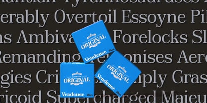 Reigans Font Poster 11