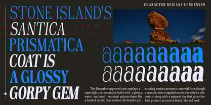 Reigans Font Poster 12