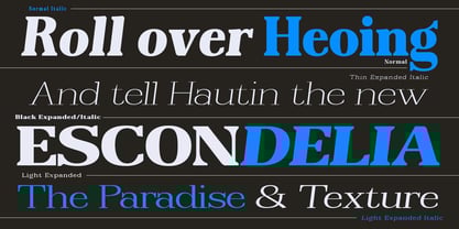 Reigans Font Poster 2