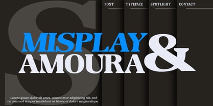 Reigans Font Poster 4