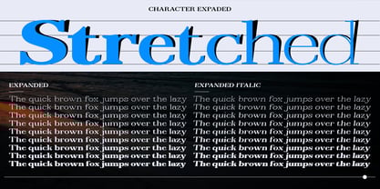 Reigans Font Poster 8