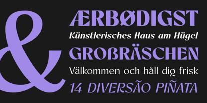 Artezy- duplicate Font Poster 9