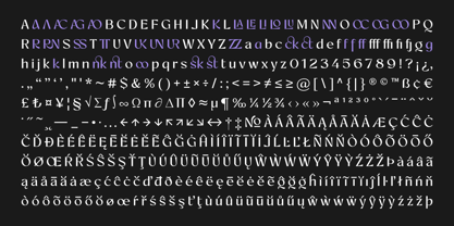 Artezy- duplicate Font Poster 14