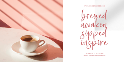 Baplosy Startera Font Poster 6