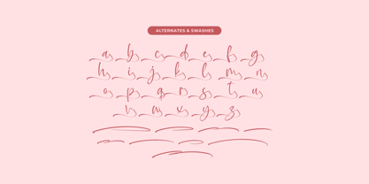 Baplosy Startera Font Poster 13