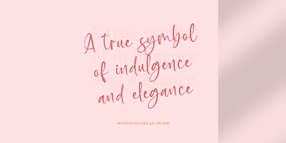 Baplosy Startera Font Poster 2