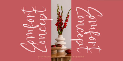 Baplosy Startera Font Poster 11