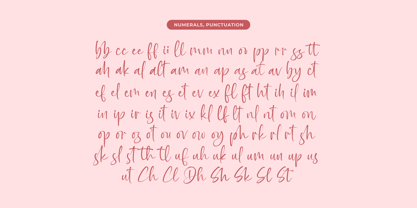 Baplosy Startera Font Poster 15