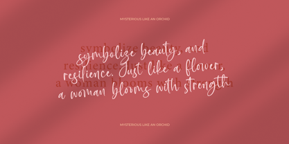 Baplosy Startera Font Poster 5