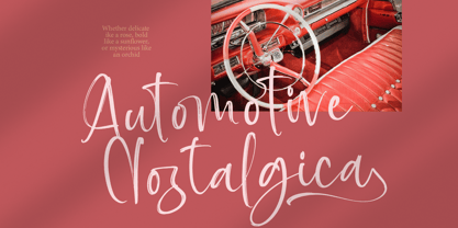 Baplosy Startera Font Poster 9