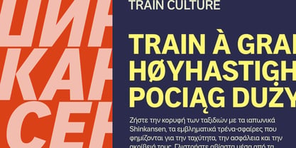 Aaux Pro Paneuropean Font Poster 6