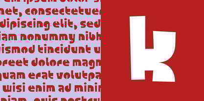 Foonky Font Poster 4