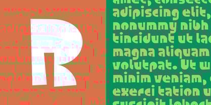 Foonky Font Poster 8