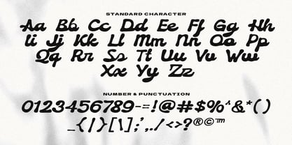 Roille Font Poster 14