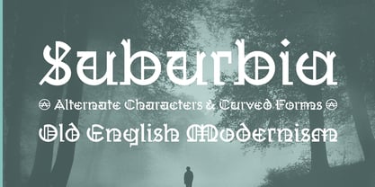 Wexford Oakley Font Poster 2