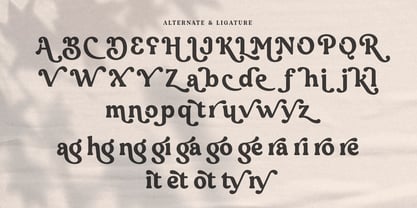 Bangora Font Poster 9