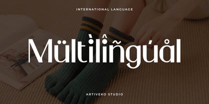 Elonny Font Poster 3