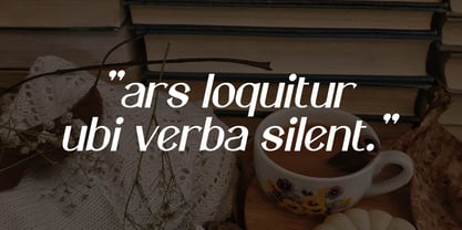 Elonny Font Poster 7