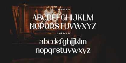 Elonny Font Poster 4