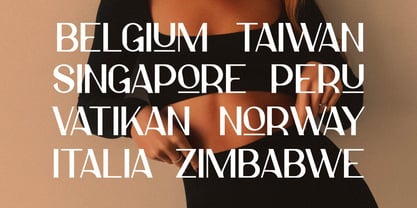 Elonny Font Poster 8