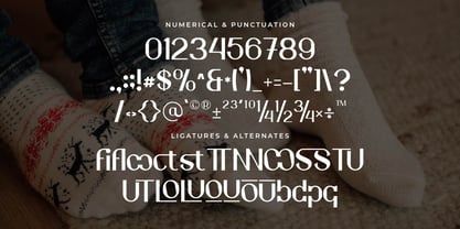 Elonny Font Poster 6