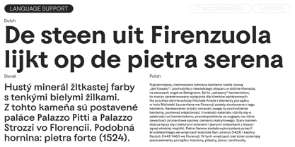 TT Ricordi Greto Font Poster 8