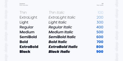 Ceramon Font Poster 4