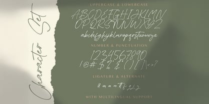 Asthacy Reny Font Poster 7