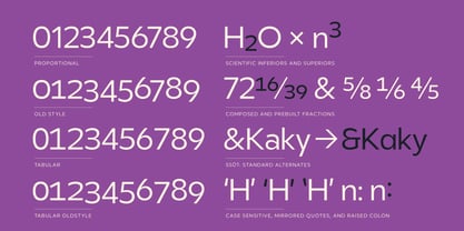 Clear Pro Pan Euro Font Poster 3