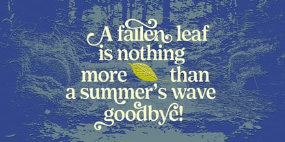 Shelian Font Poster 11