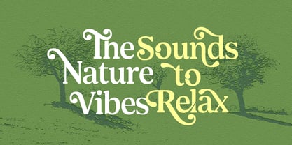 Shelian Font Poster 5