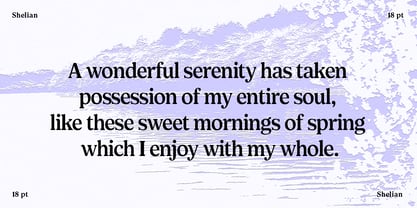 Shelian Font Poster 13