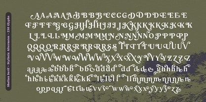 Shelian Font Poster 4