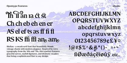 Shelian Font Poster 7