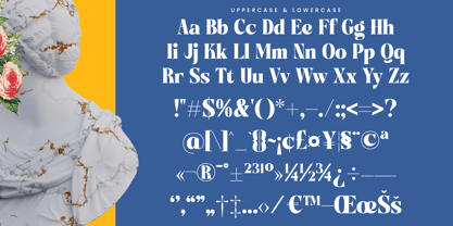 Night Roasty Font Poster 14