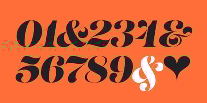 Lust Script Font Poster 8