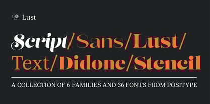 Lust Script Font Poster 12
