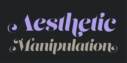 Lust Script Font Poster 4