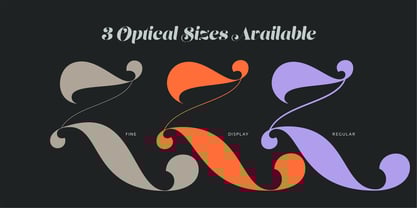 Lust Script Font Poster 9