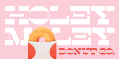 Envy Font Poster 5