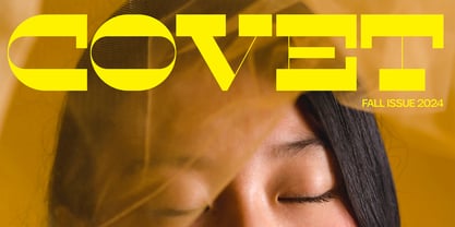 Envy Font Poster 3
