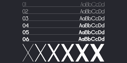 Raxogen Font Poster 3